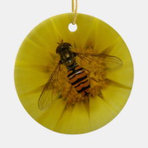 Hoverfly em um aniversário do costume do cravo-de- enfeites