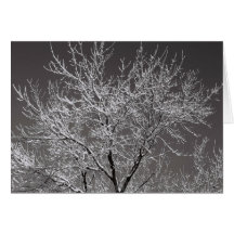 IcyTree Cartão