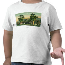 Ideia dos primaveras gêmeos de PalmsParaiso, CA Camisetas