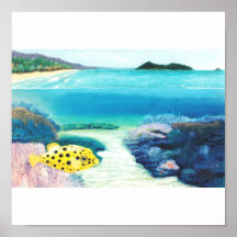 ilha do chapéu do escuteiro poster