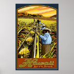 Ilhas de Havaí - poster de viagens da colheita do 