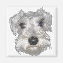Ímã branco do Schnauzer diminuto Ima De Geladeira