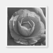 Ímã cor-de-rosa ima de geladeira