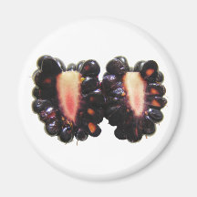 Ímã cortado do ~ de Blackberry Imãs De Geladeira