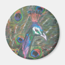 Ímã da arte do pavão do pássaro ima