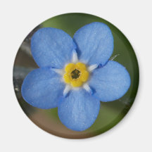 Ímã da flor imã de refrigerador
