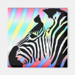 Ímã da zebra 2 imãs de geladeira