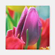 Ímã decorativo das tulipas imãs de refrigerador