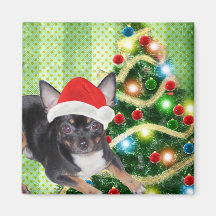 Ímã do Feliz Natal da chihuahua Imã