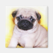Ímã do filhote de cachorro do Pug Imas