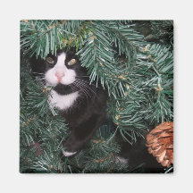 Ímã do gatinho do Natal Imas