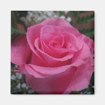 Ímã do rosa do rosa imãs