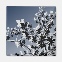 Ímã floral do eco imã