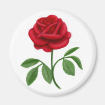 Ímã híbrido do rosa de chá ima de geladeira