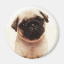 Ímã redondo do filhote de cachorro do Pug Imã De Geladeira
