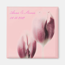 Imã salve a data cor-de-rosa das tulipas