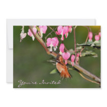 Imagem do colibri e das flores convites
