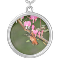 Imagem do colibri e das flores colares