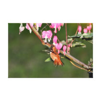 Imagem do colibri e das flores impressão em canvas
