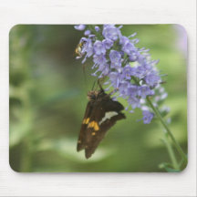 IMG_2686 MOUSEPAD