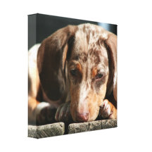 Impressão bonito das canvas do filhote de cachorro impressão em canvas