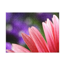 Impressão cor-de-rosa da margarida em canvas impressão de canvas envolvida