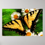 Impressão da arte 23 da borboleta