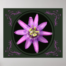 Impressão da arte da flor da paixão