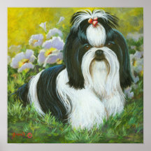 Impressão da arte de Shih Tzu em canvas