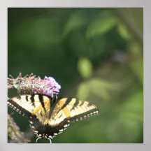 IMPRESSÃO DA BORBOLETA