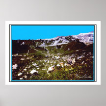 "IMPRESSÃO DA FOTO DA TERRA RICA"