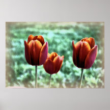 Impressão da tulipa