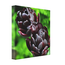 Impressão das belas artes: Tulipas roxas Impressão De Canvas Envolvidas