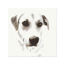 Impressão das canvas da cara do cão de Labrador Impressão Em Tela Canvas