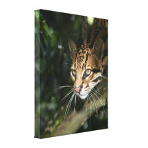 Impressão das canvas - ocelot impressão de canvas envolvidas