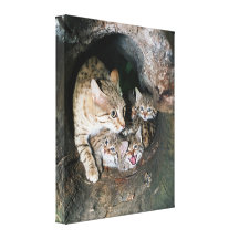 Impressão das canvas - wildcat asiático impressão de canvas esticada