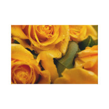 Impressão de Cancvas dos rosas amarelos Impressão Em Canvas
