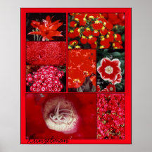 "IMPRESSÃO DE GICLEE DA COLAGEM VERMELHA"