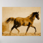 Impressão de passeio do poster do cavalo