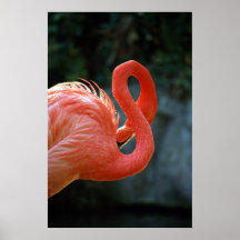Impressão do flamingo