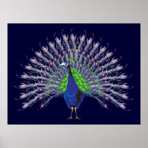 Impressão do pavão