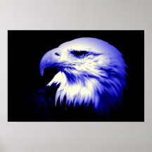 Impressão do poster da águia americana de Eagle do