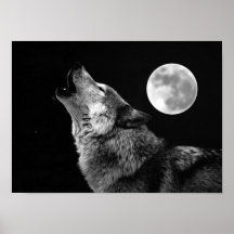 Impressão do poster do lobo cinzento & da lua