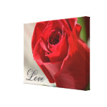 Impressão elegante das canvas do amor da rosa verm impressão de canvas envolvidas