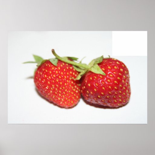 Impressão suculento vermelho da fotografia da comi