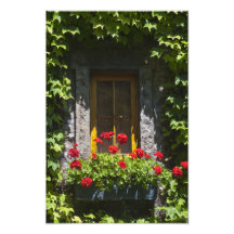 Impressão vermelho da fotografia da caixa de janel