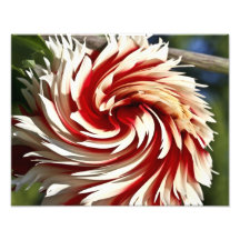 Impressão vermelho e branco das belas artes da dál foto artes