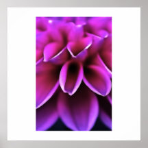 Impressões florais da fotografia posteres