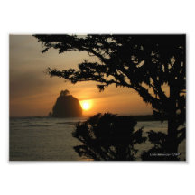 impulso do La 5X7, Washington Foto Artes