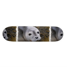 indeterminado skate